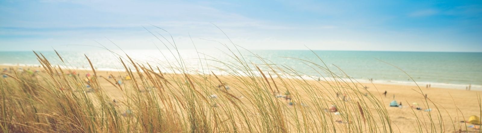 sunny summer day at the beach