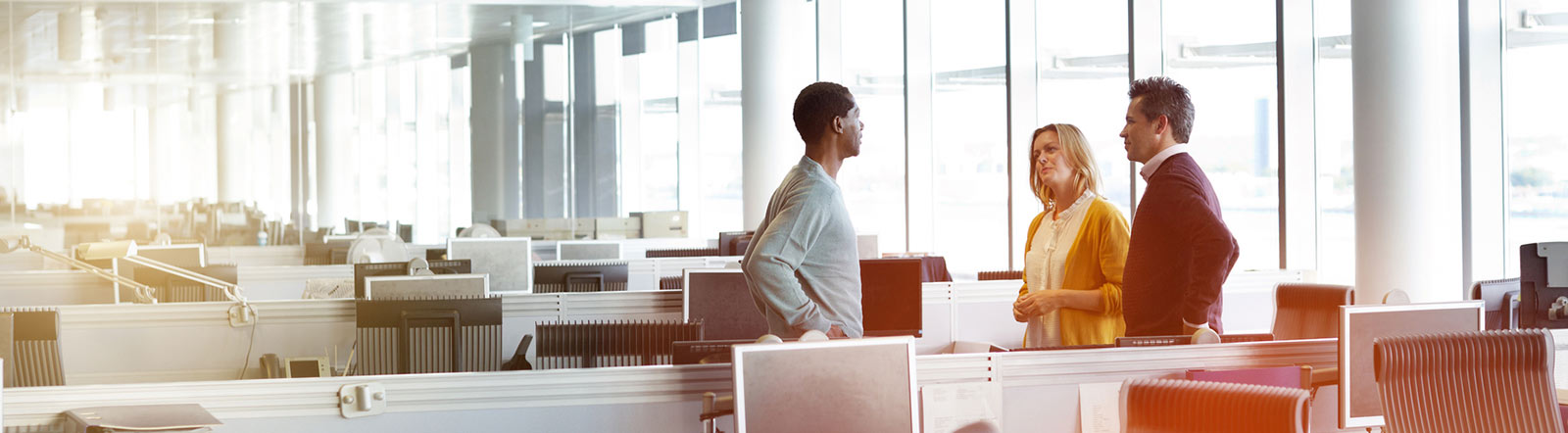 Three coworkers in open office.