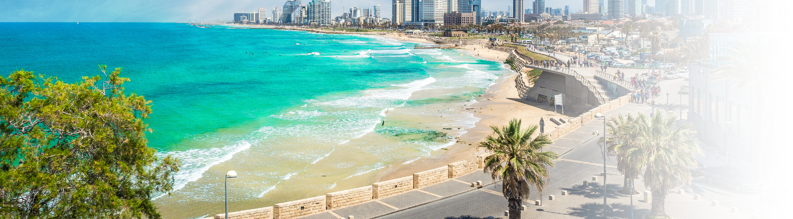aerial view of big city near coastline on a sunny day